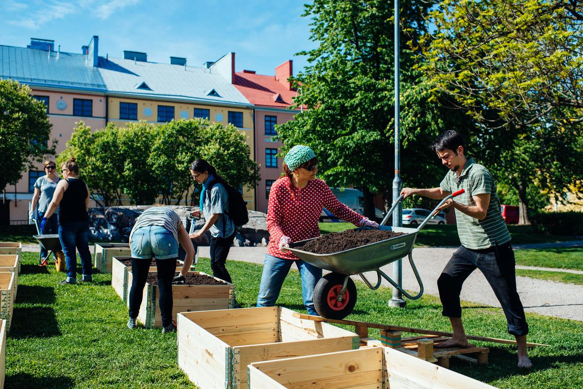 Project “The Future of Urban Agriculture”
