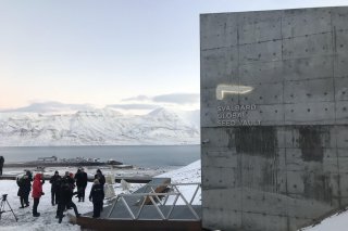 Latvia deposit 153 seed samples into the Svalbard Global Seed Vault