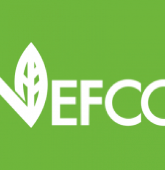 NEFCO will restart its investment operations in Latvia