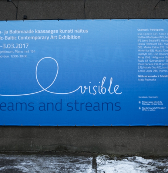 Contemporary Art Exhibition “(In)visible dreams and streams” in Tallin ARS Project room