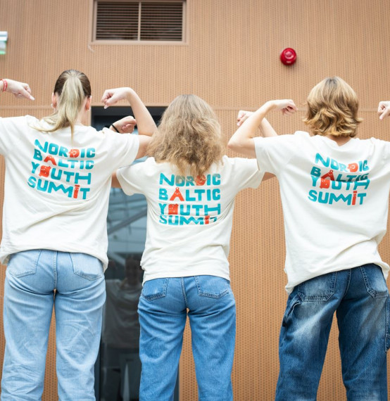 Ziemeļvalstu un Baltijas valstu jauniešu sanāksme Viļņā