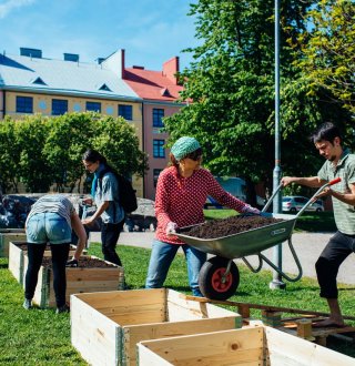 Workshops and knowledge exchange among urban agriculture experts