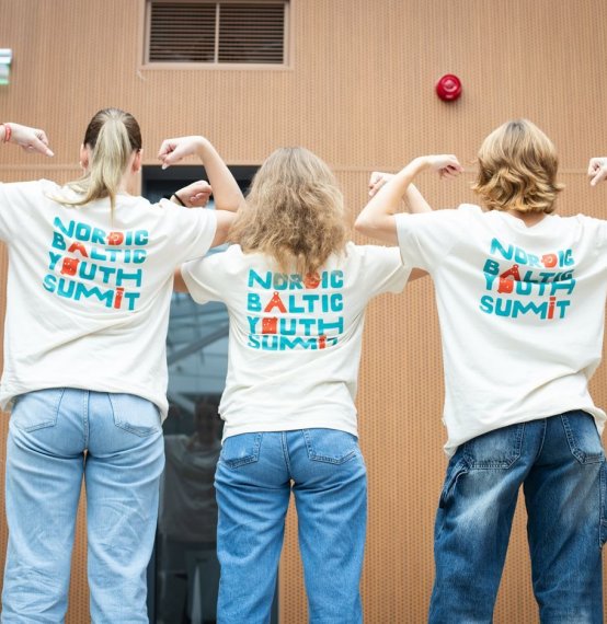 Ziemeļvalstu un Baltijas valstu jauniešu sanāksme Viļņā